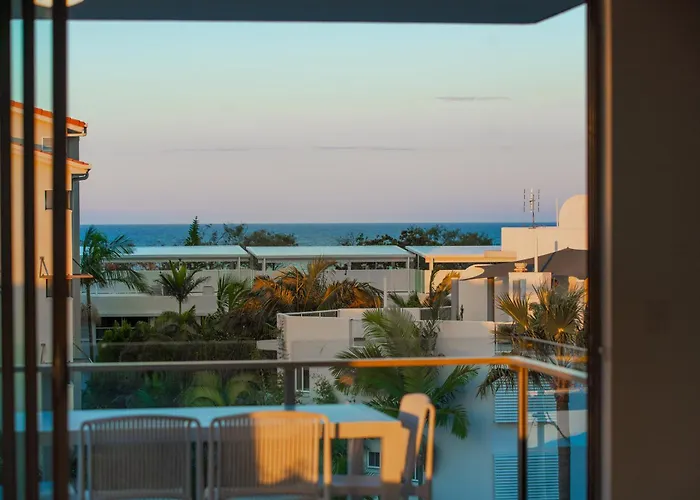 305 Verve On Cotton Tree